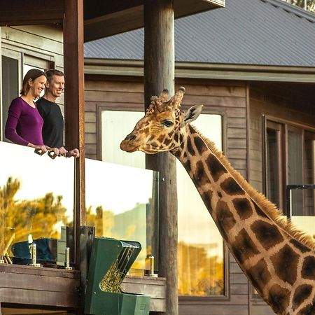 ジャマラ ワイルドライフ ロッジ キャンベラ エクステリア 写真